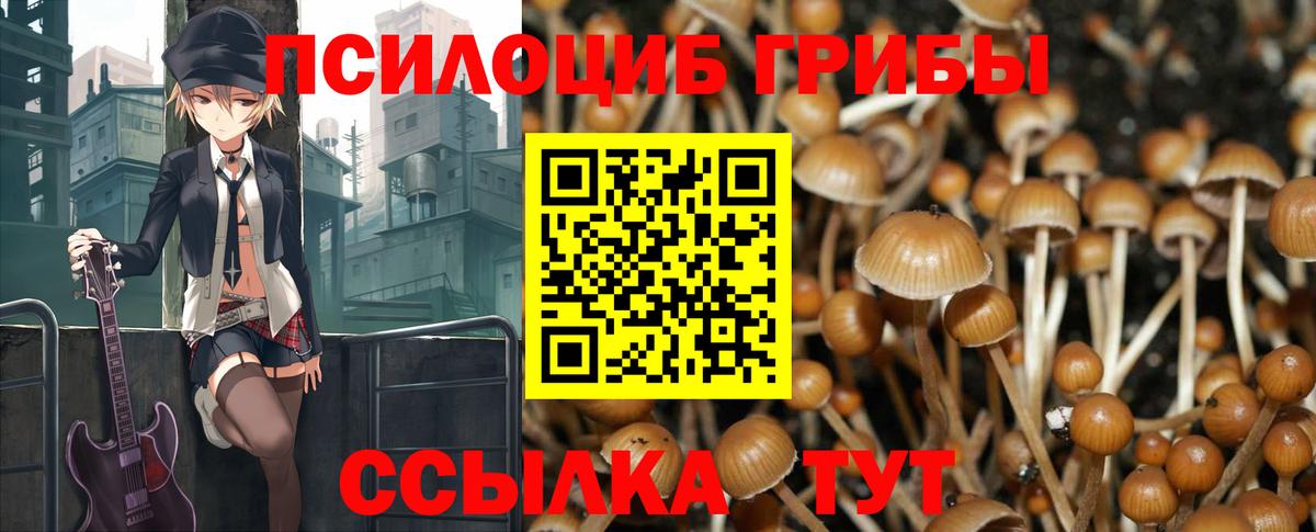 Звенигород  Псилоцибиновые грибы GOLDEN TEACHER  Галлюциногенные грибы мицелий  Вход с VPN 
