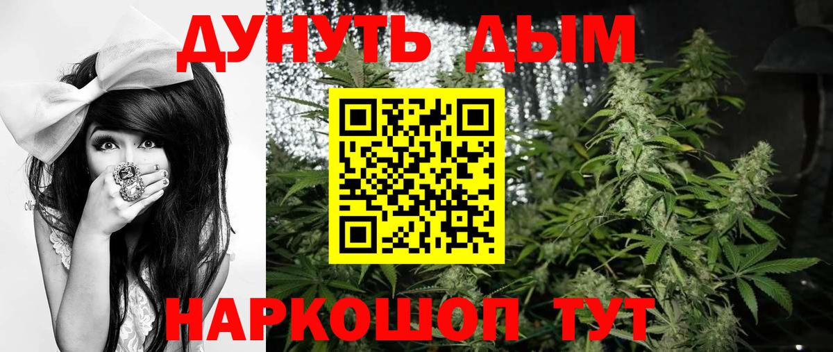 Звенигород  Конопля план  Вход с VPN  МАРИХУАНА SATIVA & INDICA  Бошки марихуана Bruce Banner 